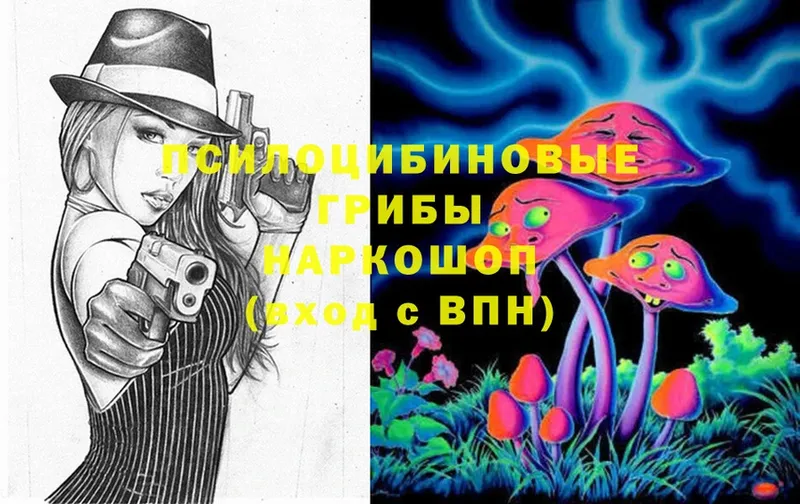 Псилоцибиновые грибы Psilocybine cubensis  Кадников 